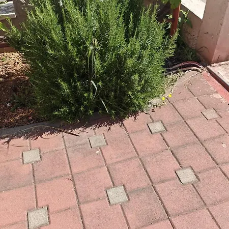 Dora Apartman Bilice